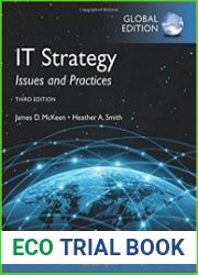 IT Strategy Issues and Practices, Global Edition