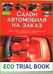 Салон автомобиля на заказ