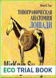 Топографическая анатомия лошади