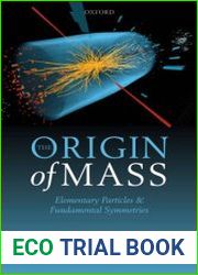 The Origin of Mass Elementary Particles and Fundamental Symmetries
