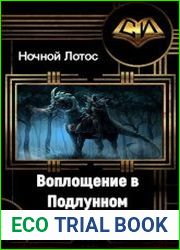 Воплощение в Подлунном Мире 1