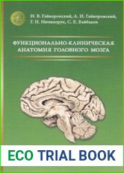 Функционально-клиническая анатомия головного мозга