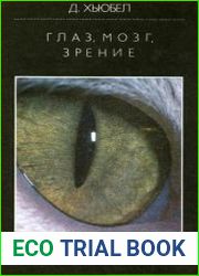 Глаз, мозг, зрение