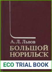 Большой Норильск