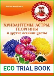 Хризантемы, астры, георгины и другие осенние цветы