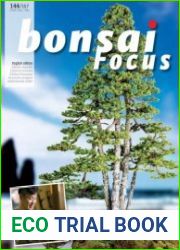 Bonsai Focus