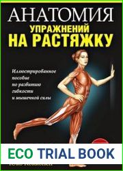 Анатомия упражнений на растяжку