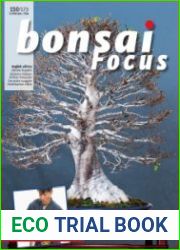 Bonsai Focus (English Edition)