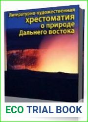 Солнце во все небо