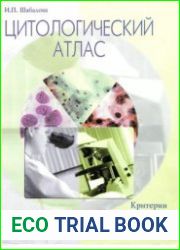 Цитологический атлас. Критерии диагностики заболеваний шейки матки