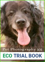 Pet Photography 101 Tips for Taking Better Photos of Your Dog or Cat