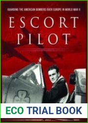 Escort Pilot Guarding the American Bombers Over Europe in World War II