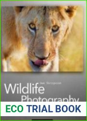 Wildlife Photography