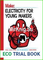 Make Electricity for Young Makers Fun and Easy Do-It-Yourself Projects
