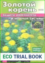 Золотой корень - защита иммунитета и нервной системы