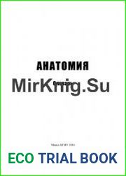 Анатомия. Словарь