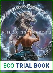 Книга пяти колец. Том 4
