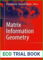 Matrix Information Geometry