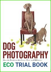 Dog Photography How to Capture the Love, Fun, and Whimsy of Man|s Best Friend