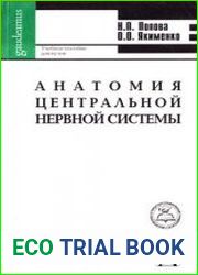 Анатомия центральной нервной системы