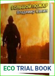 Большой пожар (Аудиокнига)