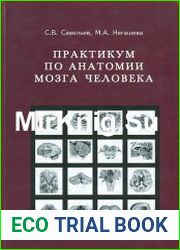 Практикум по анатомии мозга человека
