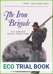 The Iron Brigade