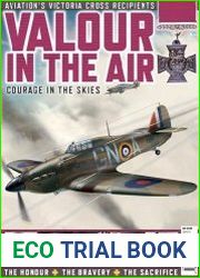 Valour in the Air