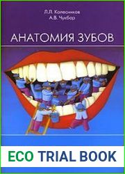 Анатомия зубов