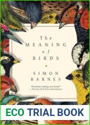 The Meaning of Birds