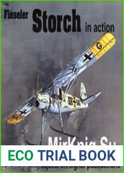 Fieseler Storch In Action