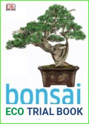 Bonsai