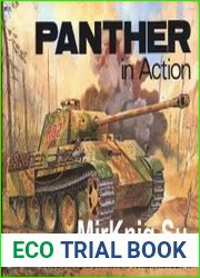 Panther in Action