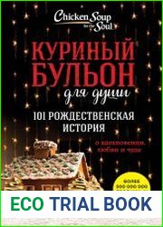 Куриный бульон для души. 101 рождественская история о вдохновении, любви и чуде