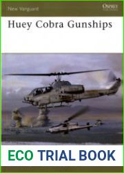 Huey Cobra Gunships