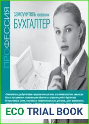 Интерактивный самоучитель Профессия бухгалтер