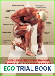 Большой иллюстрированный атлас анатомии человека