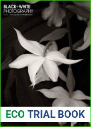 Black + White Photography