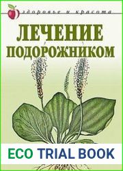 Лечение подорожником
