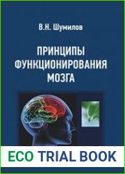 Принципы функционирования мозга