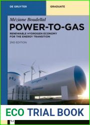 Power-to-Gas Renewable Hydrogen Economy for the Energy Transition (De Gruyter Textbook), 2nd Edition