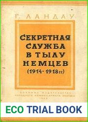 Секретная служба в тылу немцев (1914–1918 гг.)