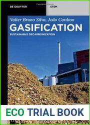 Gasification Sustainable Decarbonization (de Gruyter Stem) - BOOKS - TECHNICAL SCIENCES
