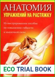 Анатомия упражнений на растяжку