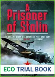 A Prisoner of Stalin The Chilling Story of a Luftwaffe Pilot Shot Down and Captured on the Eastern Front