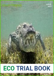 Underwater Photography