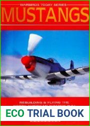 Mustangs Rebuilding & Flying the North American Aviation P-51 in the 1990|s