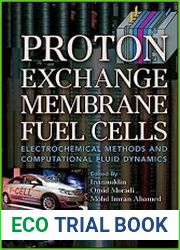 Proton Exchange Membrane Fuel Cells Electrochemical Methods and Computational Fluid Dynamics