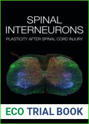 Spinal Interneurons Plasticity after Spinal Cord Injury