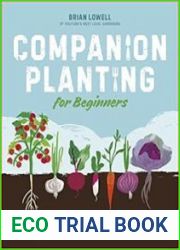 Companion Planting for Beginners Pair Your Plants for a Bountiful, Chemical-Free Vegetable Garden